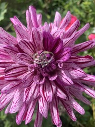 bague lettres